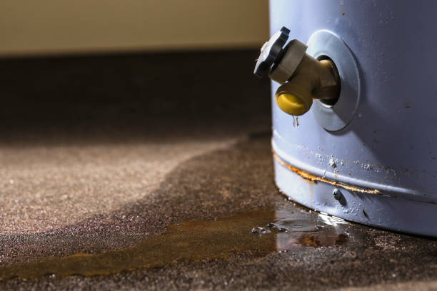 Best Flood damage cleanup  in Crompond, NY