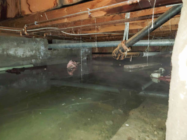 Local water damage restoration in NY