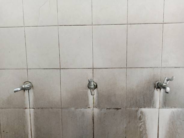 Best Flooded house restoration  in Crompond, NY