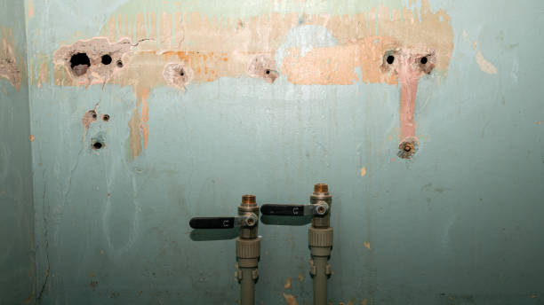 Best Professional water damage repair  in Crompond, NY