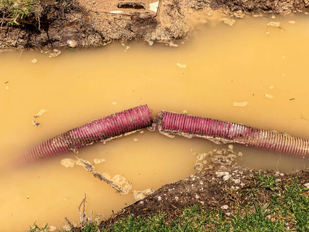 Carpet water damage restoration in NY